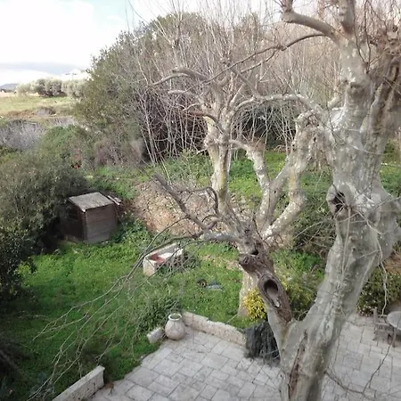 Appartement Grand Avec Terrasse *