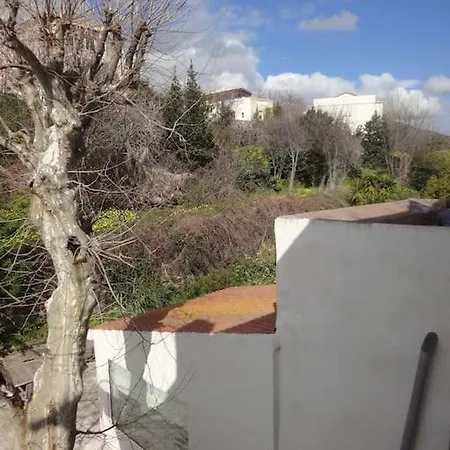 Grand Avec Terrasse Bastia (Corsica)